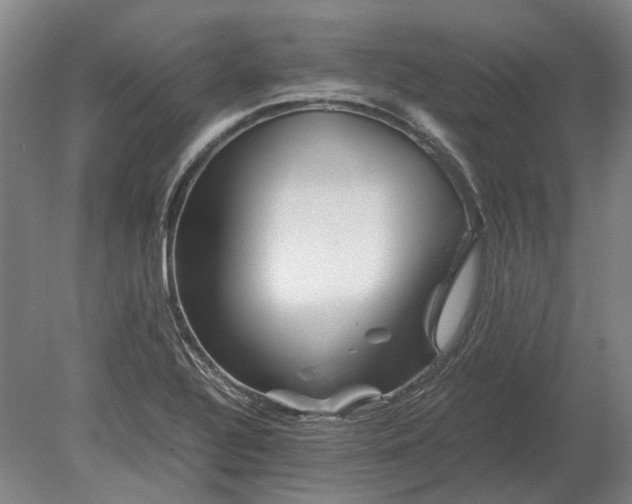 X0000080801320200701051409