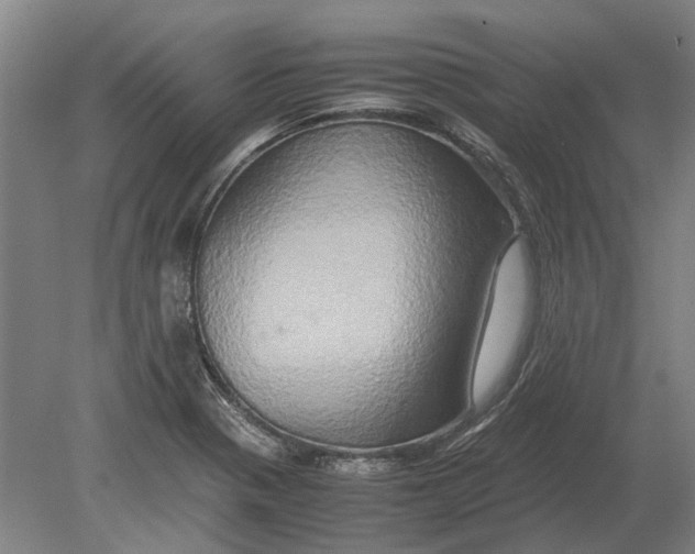 X0000080801321200701051409
