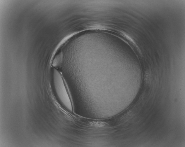 X0000080801323200701051409