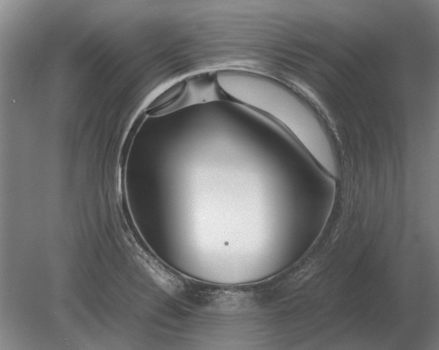 X0000080801324200701051409
