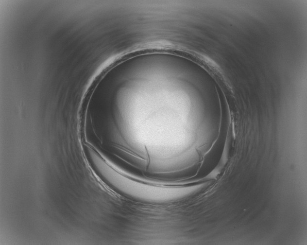 X0000080801326200701051409
