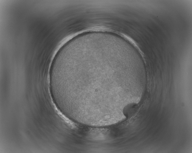 X0000080801335200701051409