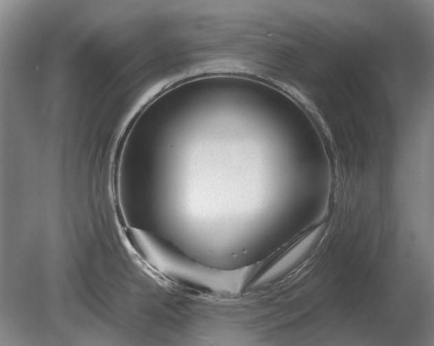 X0000080801342200701051409