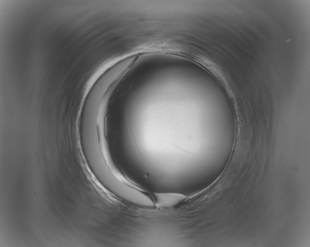 X0000080801344200701051409