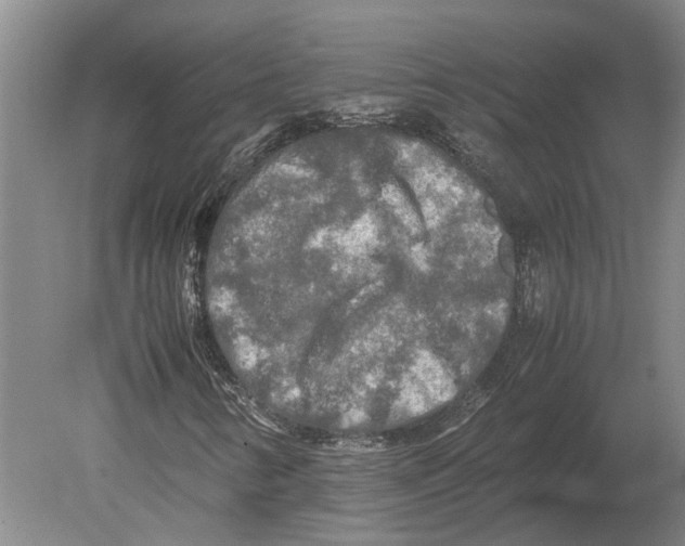 X0000080801346200701051409