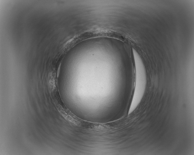 X0000080801348200701051409