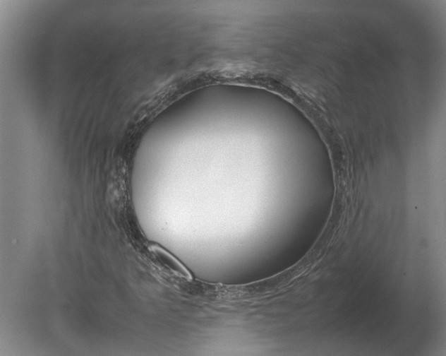 X0000080801349200701051409