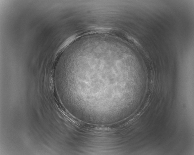 X0000080801354200701051409