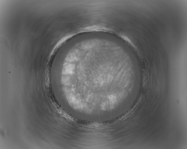 X0000080801358200701051408