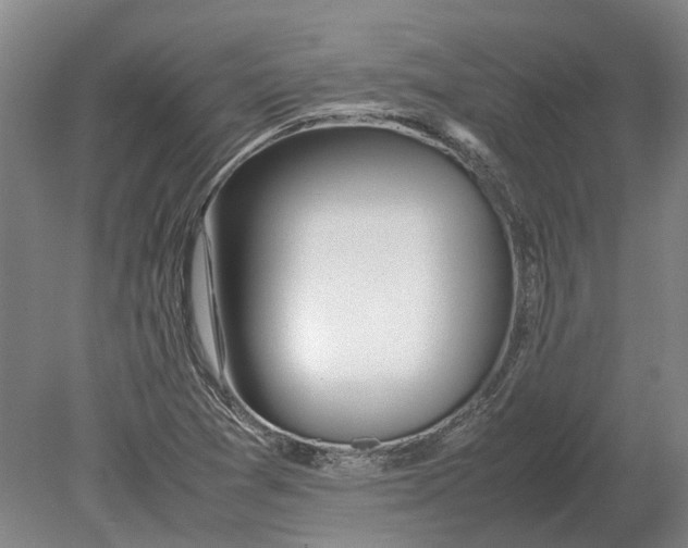 X0000080801361200701051408