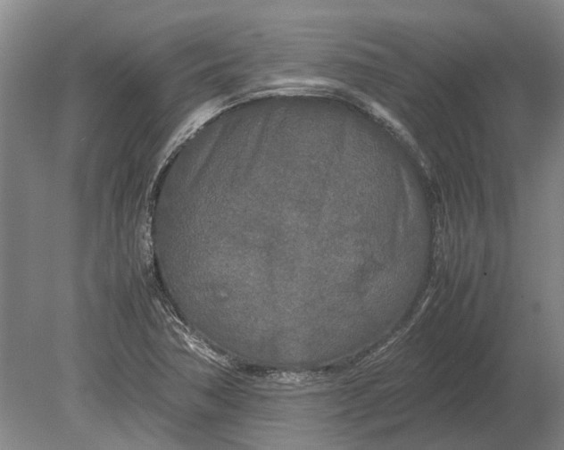 X0000080801362200701051408