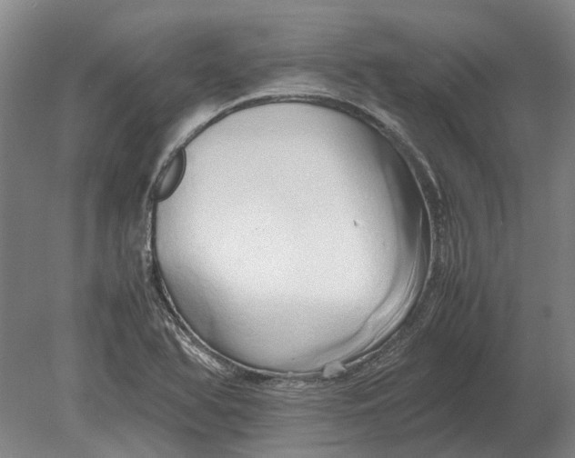 X0000080801366200701051408