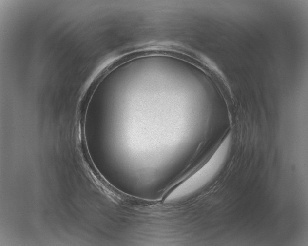 X0000080801368200701051408