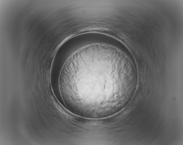 X0000080801369200701051408