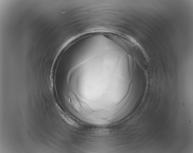 X0000080801372200701051408