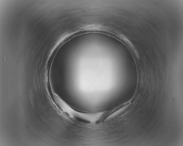 X0000080801376200701051408