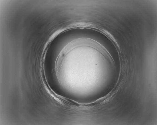 X0000080801381200701051408