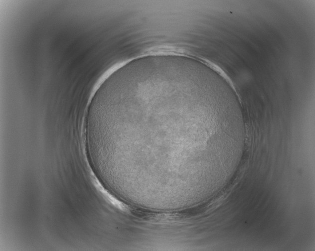 X0000080801387200701051408