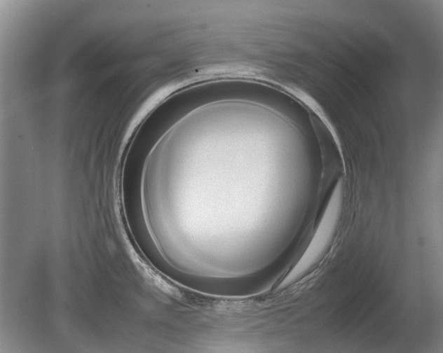 X0000080801389200701051408