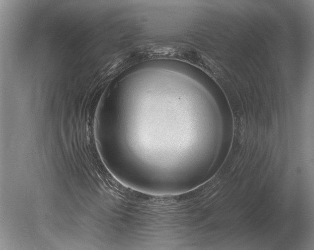 X0000080801394200701051407