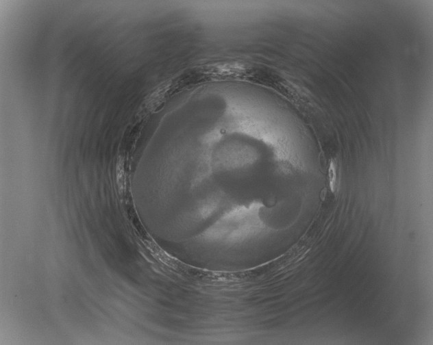 X0000080801395200701051407