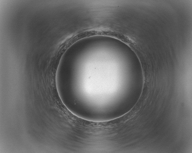 X0000080801398200701051407