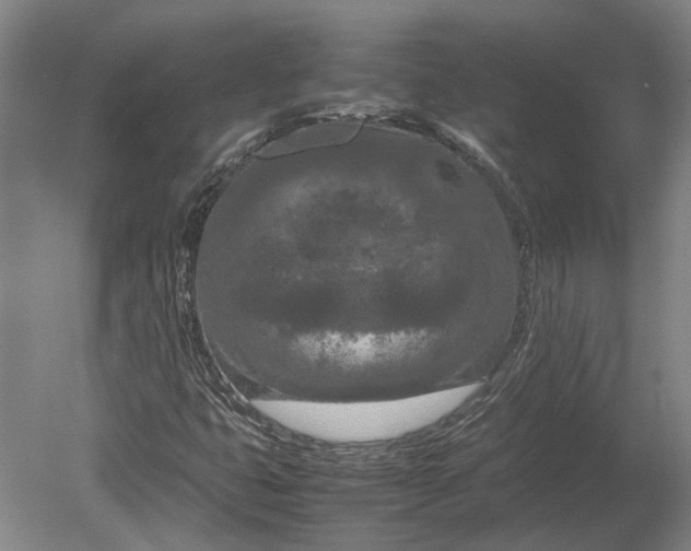 X0000080801399200701051407