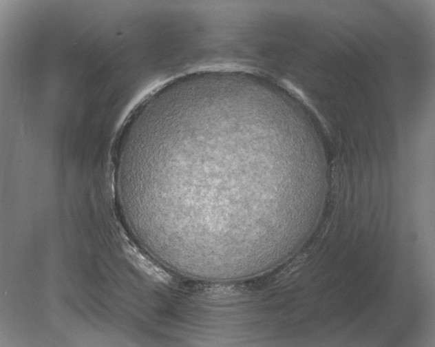 X0000080801408200701051407
