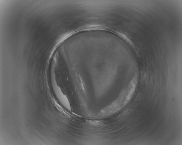 X0000080801413200701051407