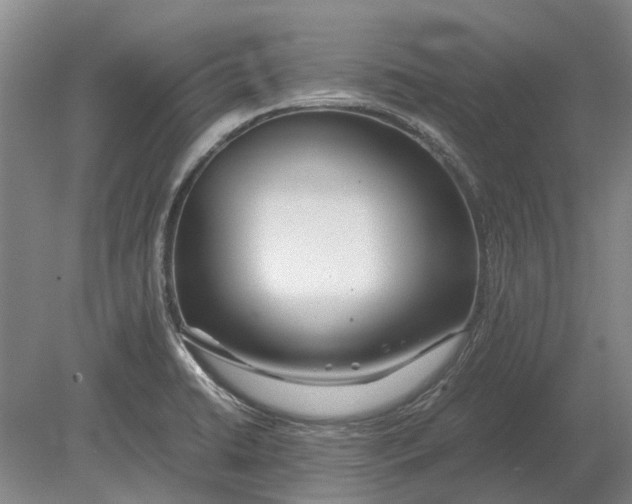 X0000080801422200701051408