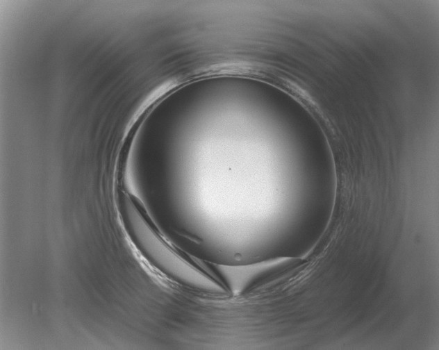X0000080801426200701051408