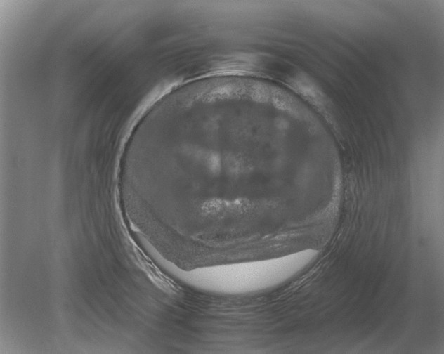 X0000080801427200701051408