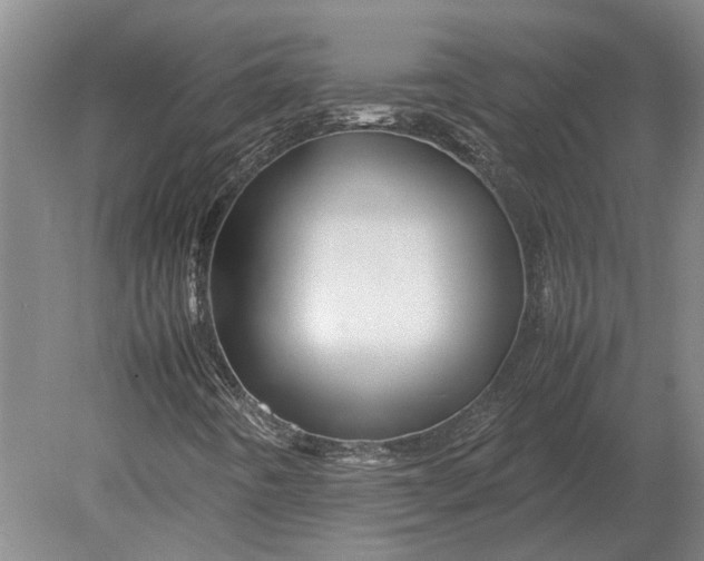 X0000080801442200701051407