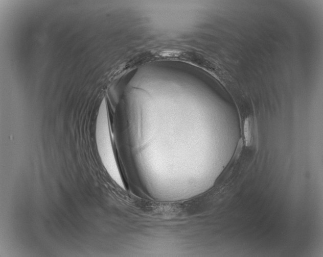 X0000080801443200701051407