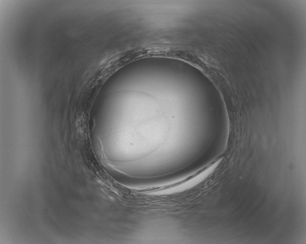 X0000080801445200701051407