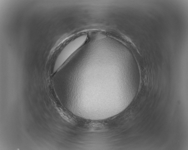 X0000080801448200701051407