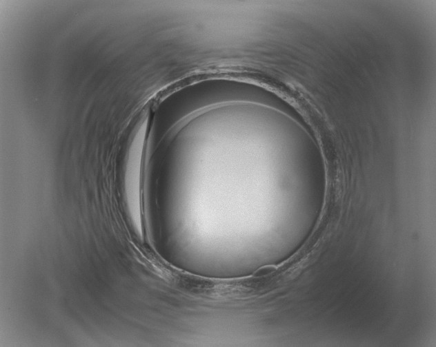 X0000080801449200701051407