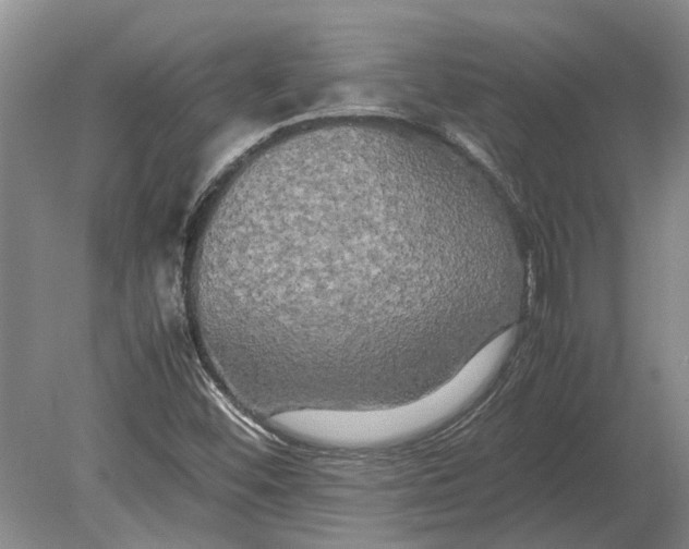 X0000080801452200701051407