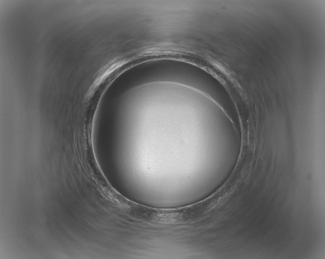 X0000080801453200701051407