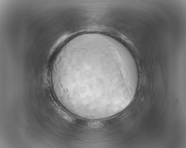 X0000080801454200701051407