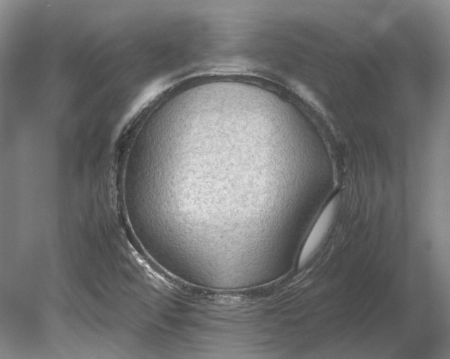 X0000080801456200701051407