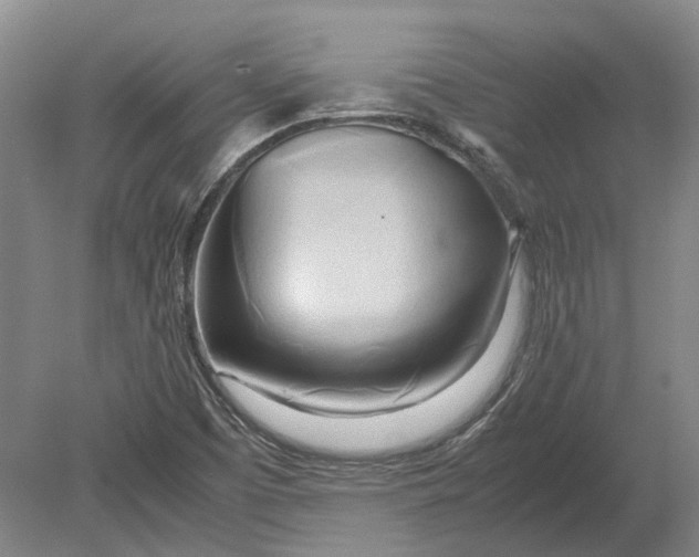 X0000080801457200701051407