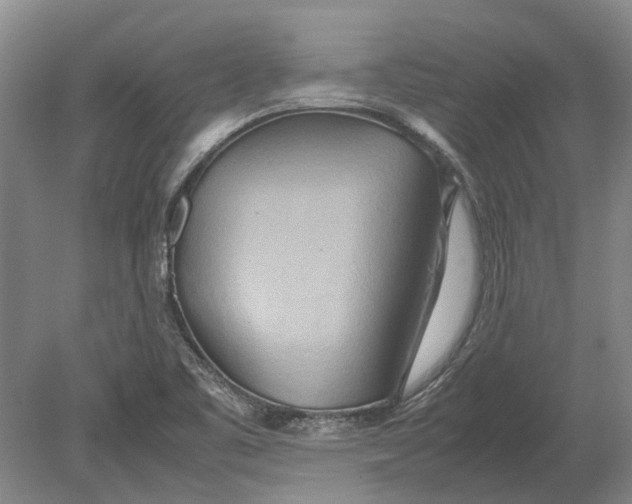 X0000080801461200701051407