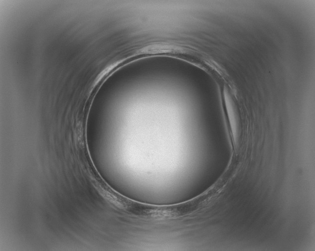 X0000080801465200701051407