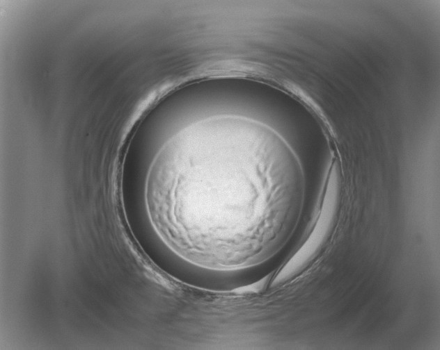 X0000080801477200701051406