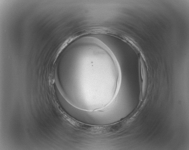 X0000080801481200701051406