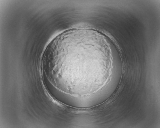X0000080801486200701051406