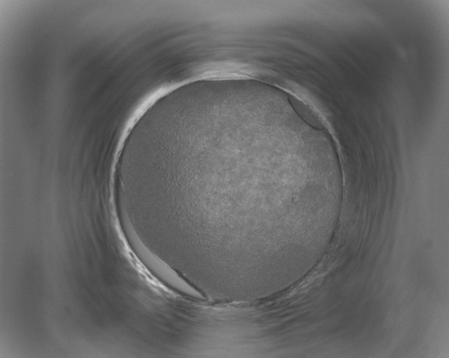 X0000080801488200701051406