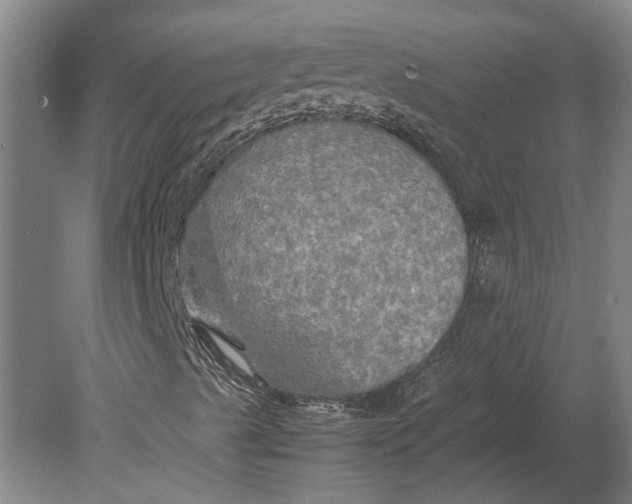X0000080801489200701051405