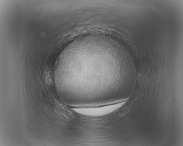 X0000080801490200701051406